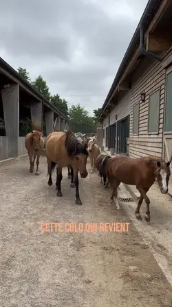 Cette colo