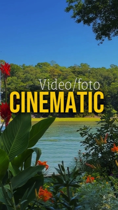 7 Clips Vidéo 