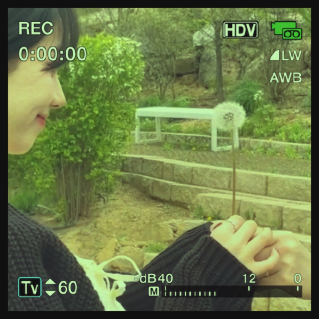 dv minivlog