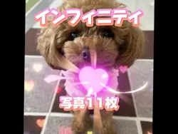 インフィニティ/写真11枚