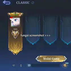 fungsi screenshot 