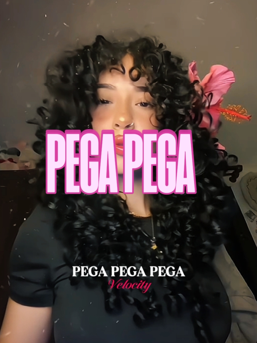 PEGA PEGA