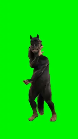 TIKI TIKI HORSE