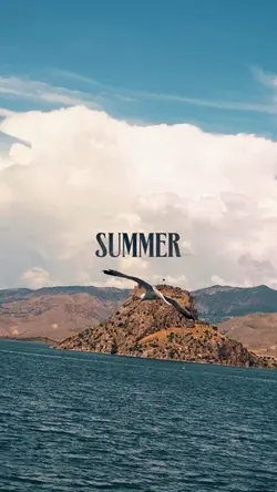 Summer calvin harris