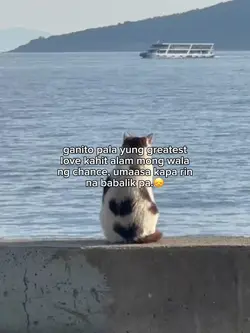 umaasa paden🥺