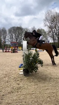 Reiten 