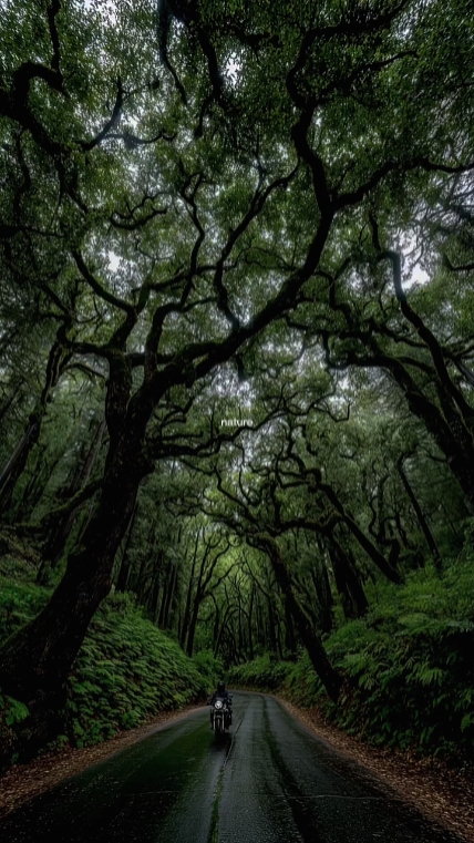 nature
