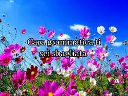 La grammatica sbagli