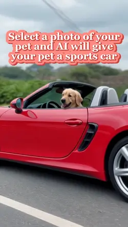 My pet have a car