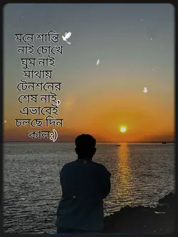 মনে শান্তি
 নাই 