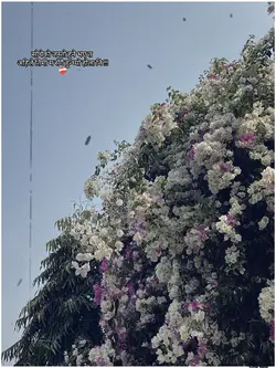 सोचेको जस्तो हुने भए