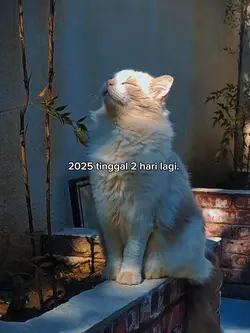 2hari lagi