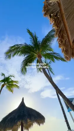 i work all night but