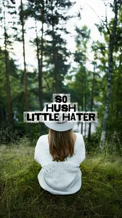 Hush  lil hater 
