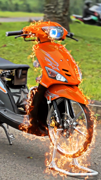 Cover Picture