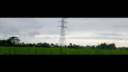 lanscapeHpmiring