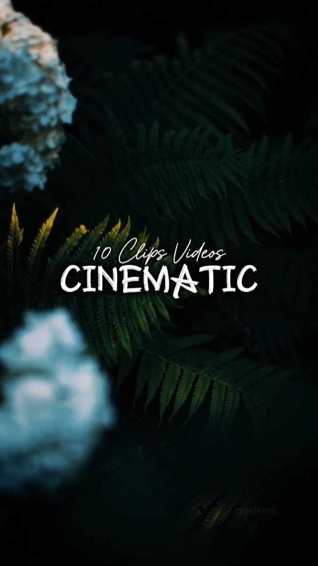 10 Klip Sinematik