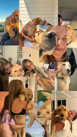 My pets 