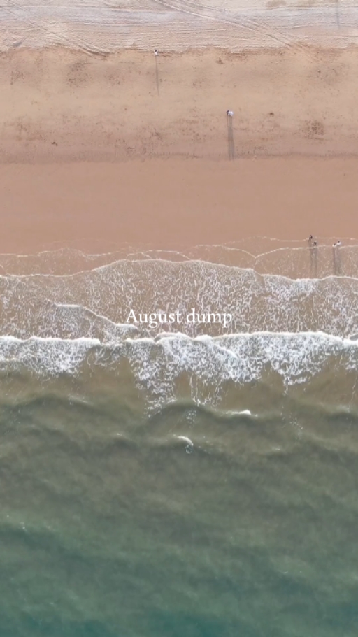 Volcado de agosto 
