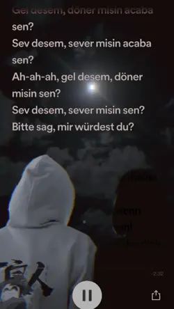 sag,mir würdest du