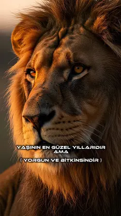 Yorgun ve BİTKİN😑