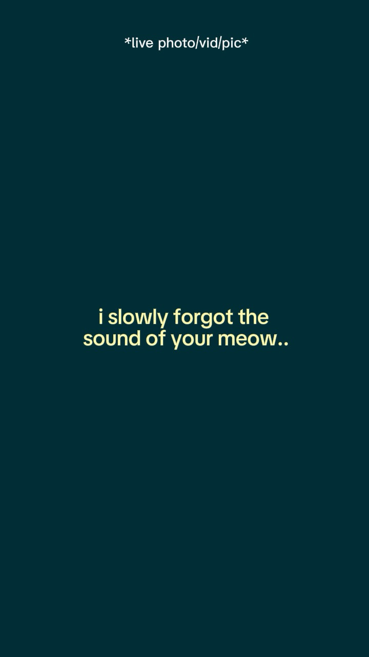Slowly forgot 