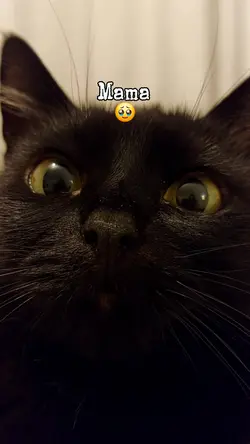 Milky please