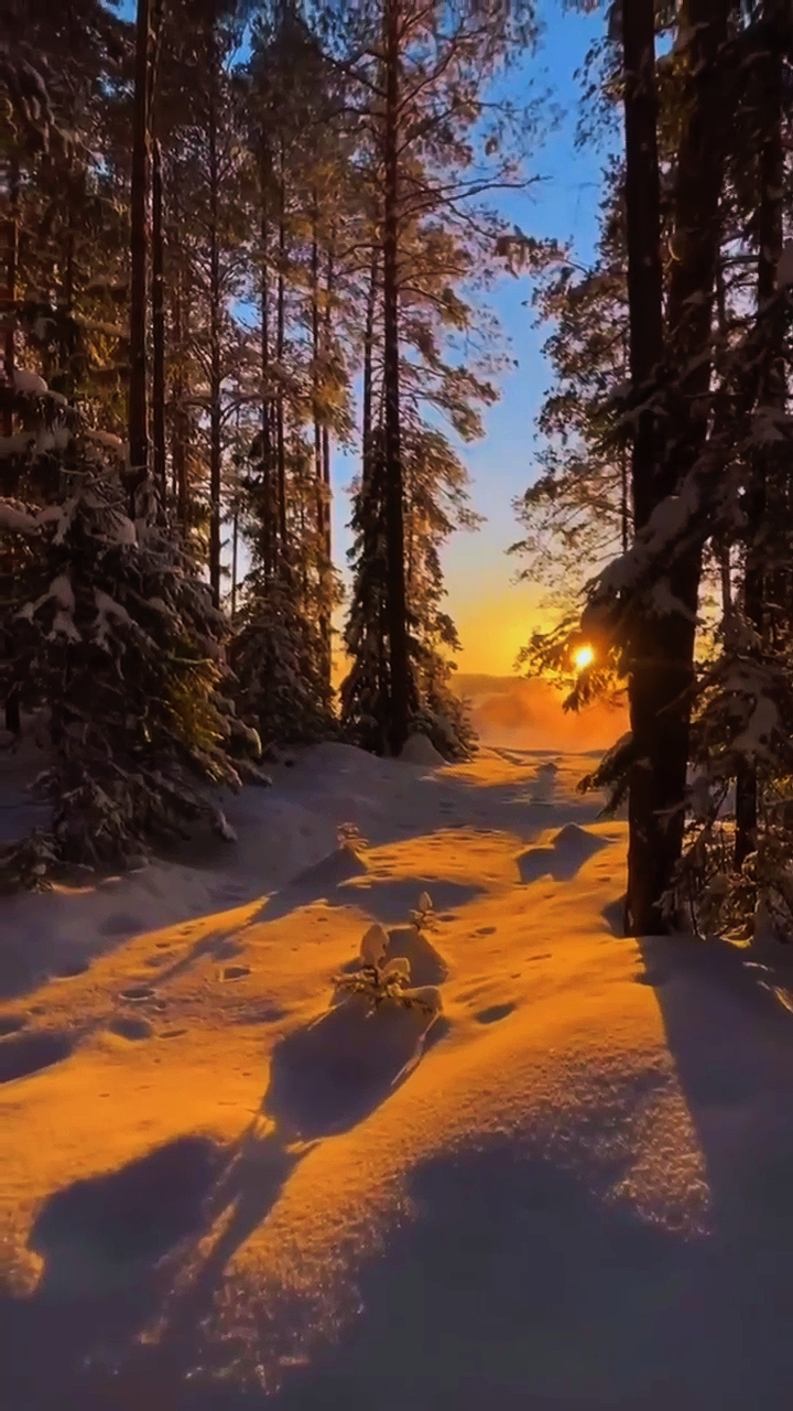 VlogStory 