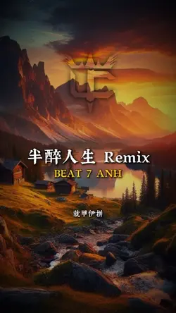 半醉人生 Remix