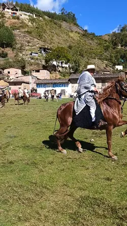 pantalla verde