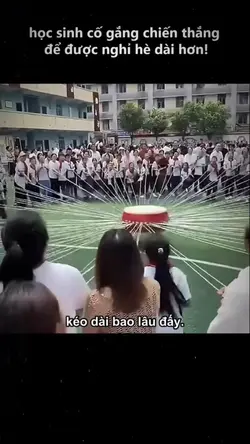 Mẫu Review Phim