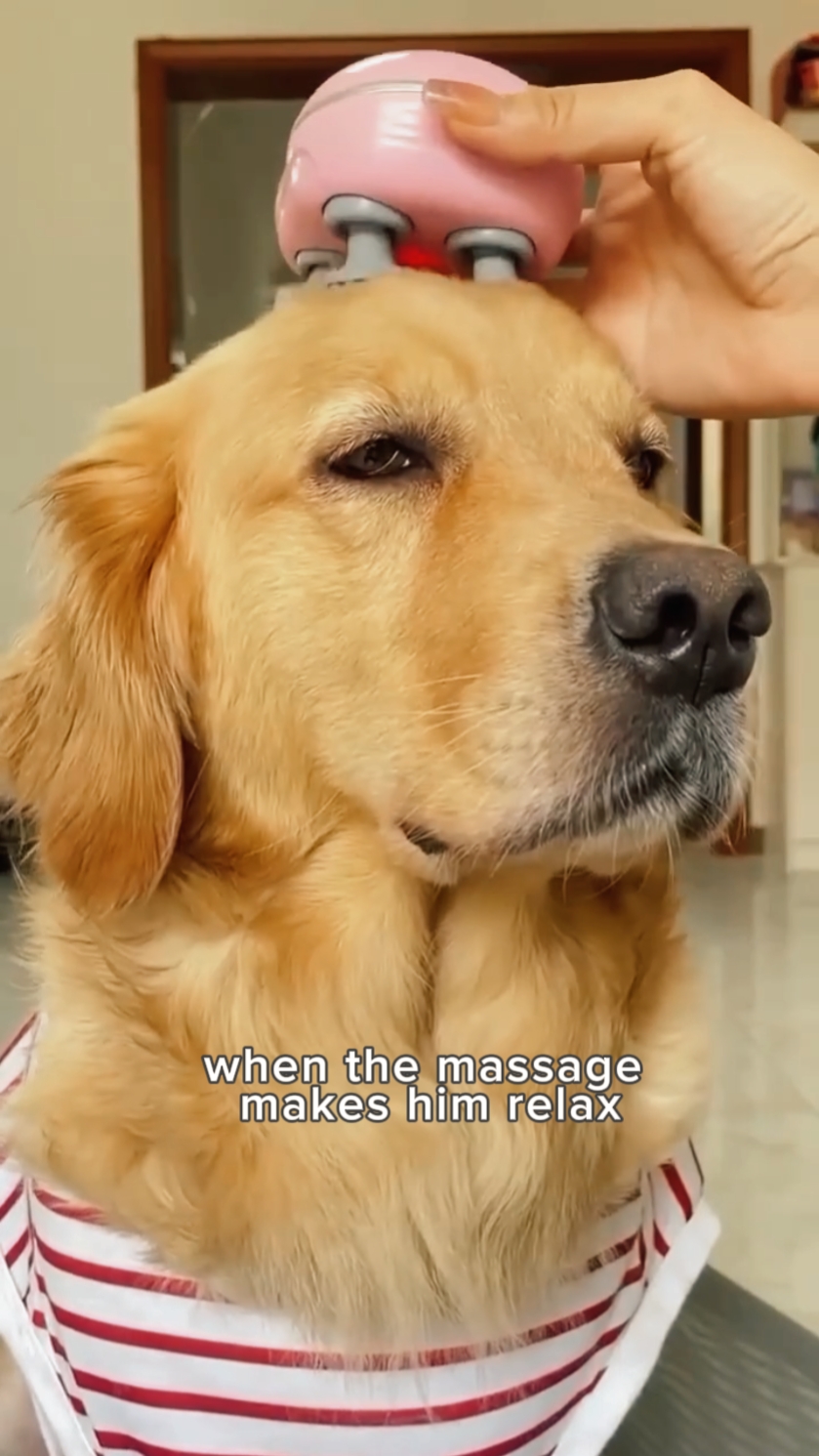 Massagem