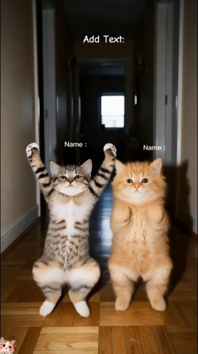 Cute Cat Trend 