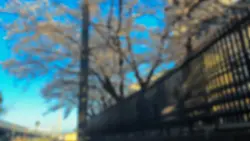 Film capcut pro 🪽