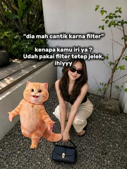 Up adn down kucing