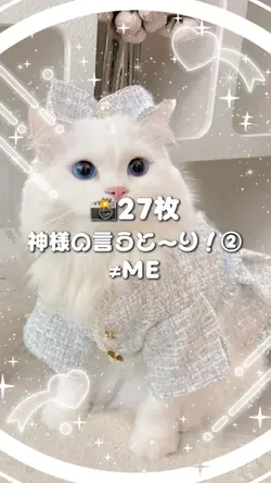 🎵神様の言うとーり!②