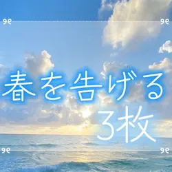 春を告げる/3枚