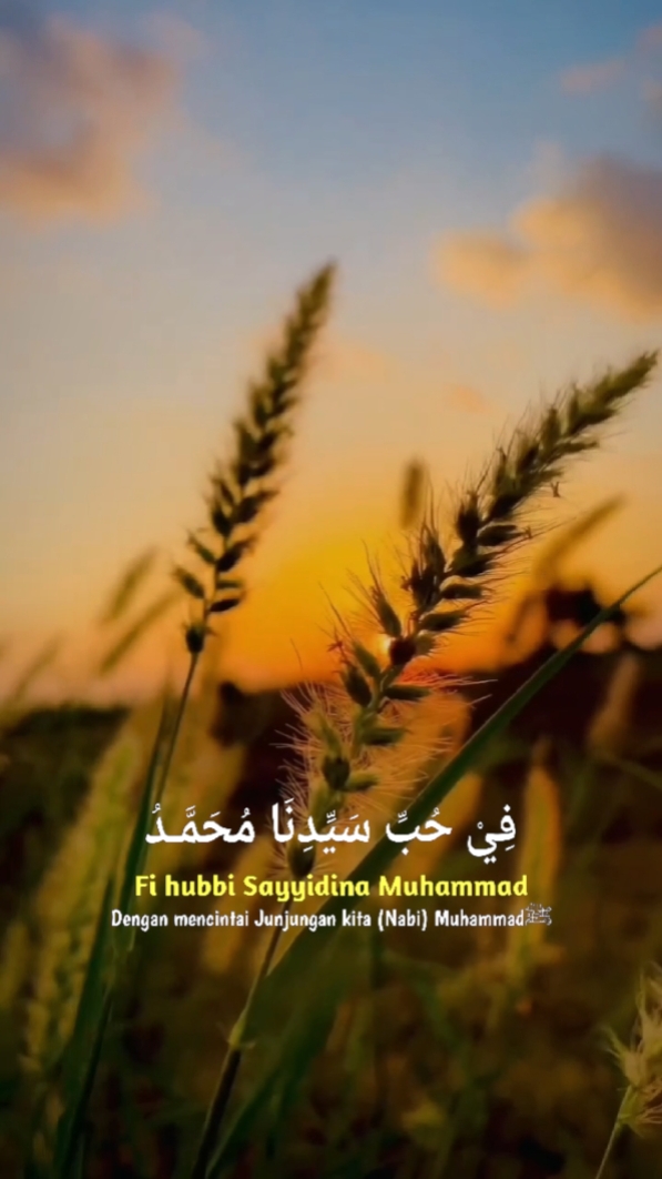Fii Hubbi 