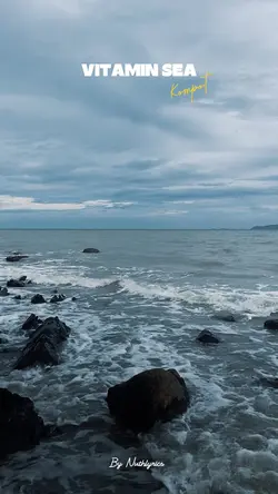 🌊 