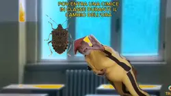Entra una cimice 