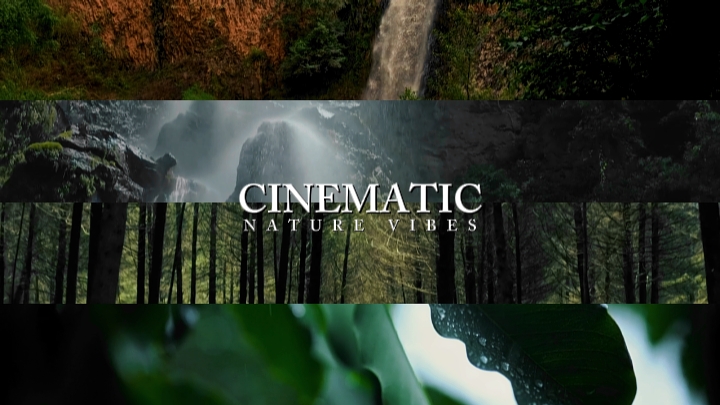 Naturaleza cinematográfica