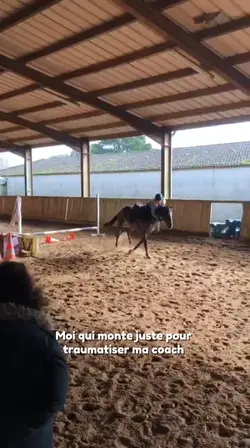 mdrr j’anime le cour