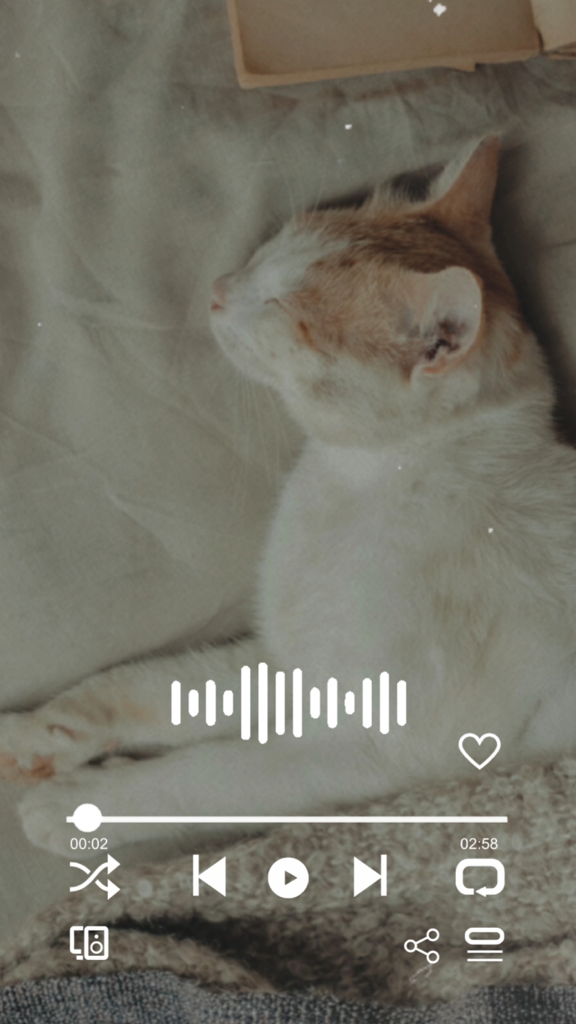 Aku Cinta Kamu Kucing
