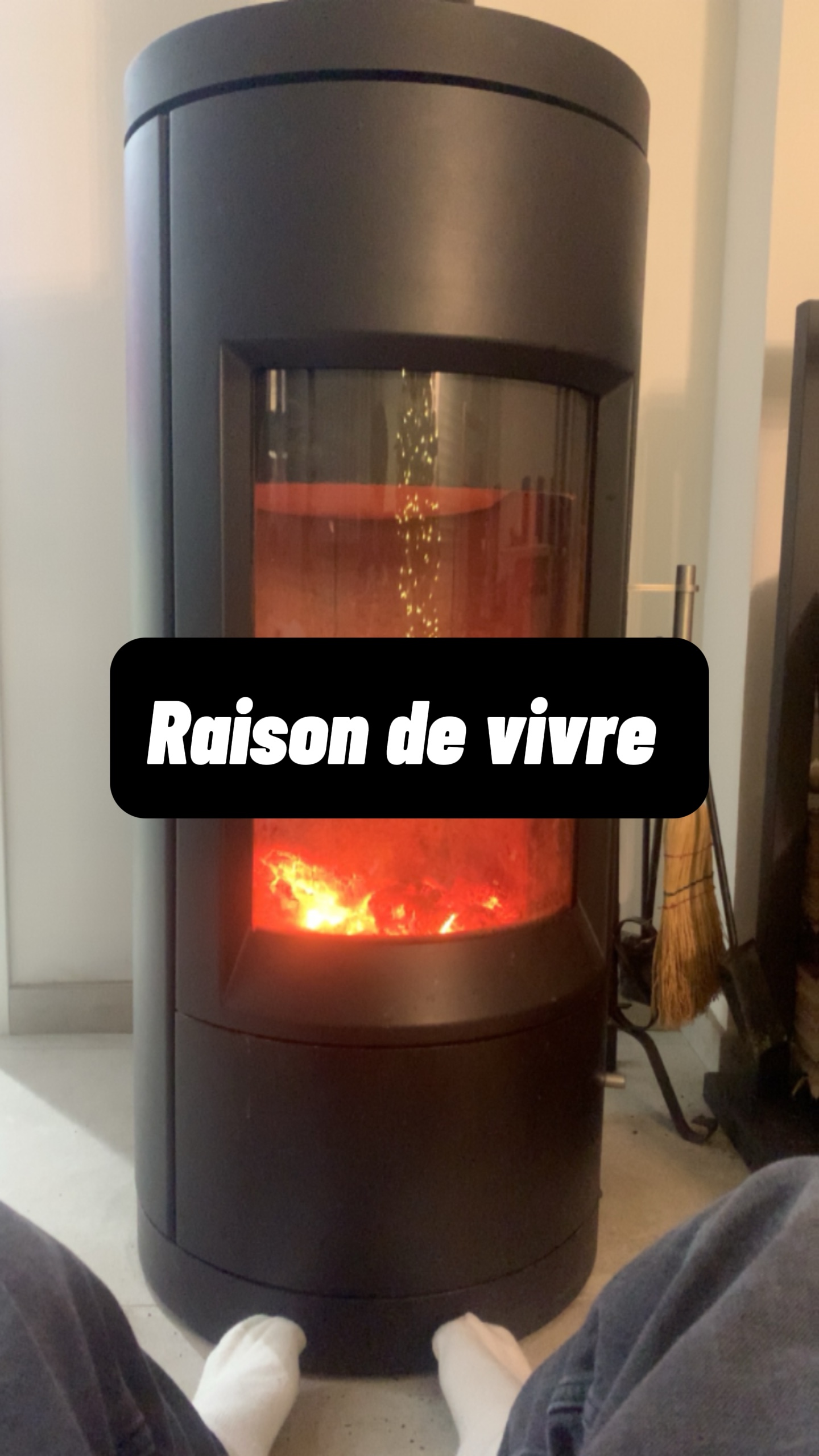 Raison de vivre 