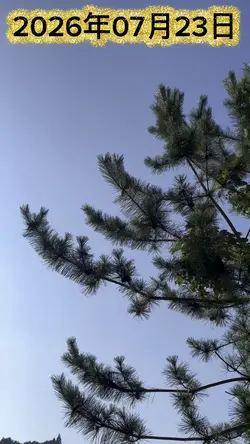 今日の天気