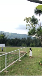 Waktu Kebun Binatang Mini
