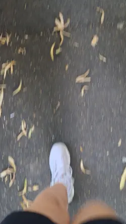 LA LIBRERIAAAAAAAAAA