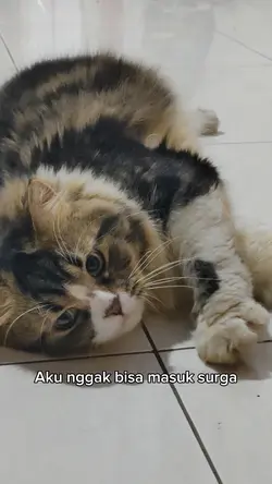 Kata kata buat babu