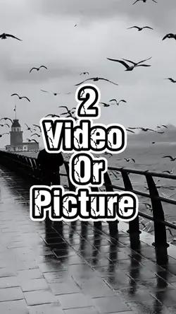 2 video or picture 