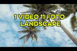 1 video 11 foto